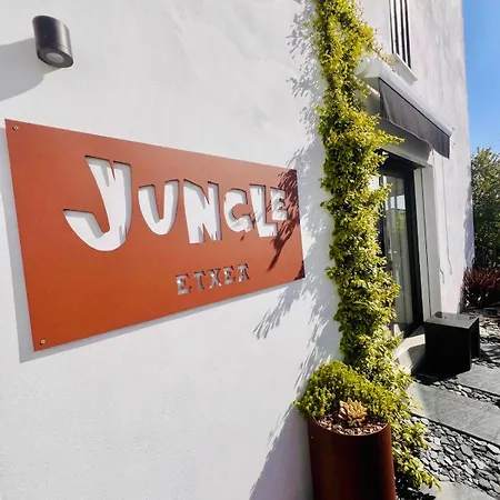 Jungle Etxea De à Avec Piscine Pour 6 Personnes Hébergement de vacances Anglet